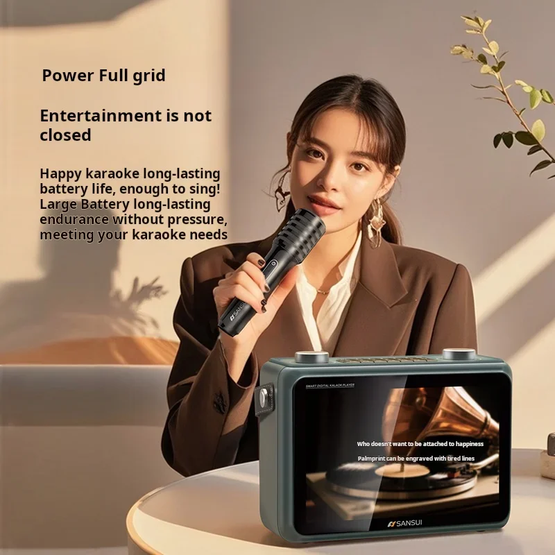 Sansui K115 80W High Power Sub - Audio Music To Lyrics 评论和价格